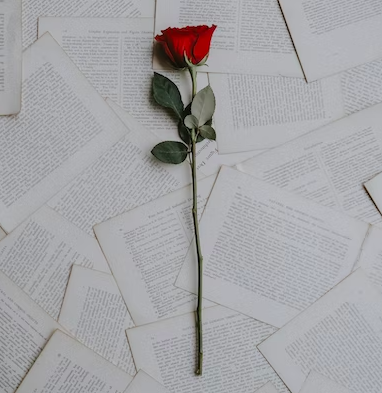 스크린샷 2022-12-18 오전 1.35.47