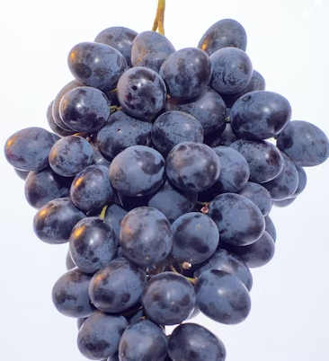 스크린샷 2023-02-12 오전 11.39.53