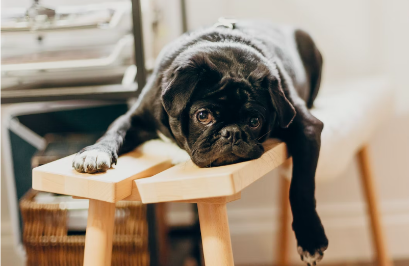 스크린샷 2023-02-04 오후 8.10.41