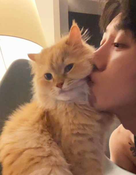 스크린샷 2023-02-12 오후 3.02.33