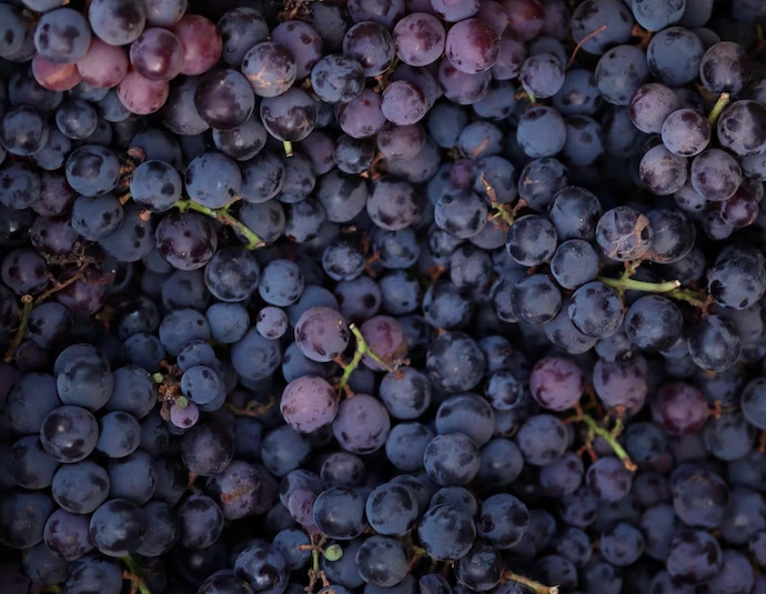 스크린샷 2023-02-12 오전 11.39.39