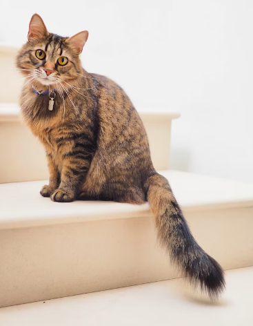 스크린샷 2023-02-12 오후 3.14.53