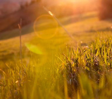 스크린샷 2023-02-05 오후 12.48.12