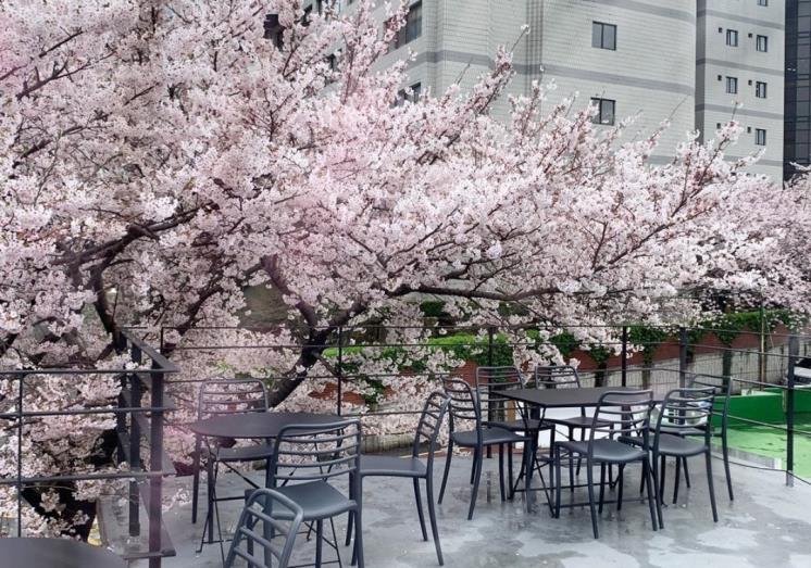 부산 카페이띠