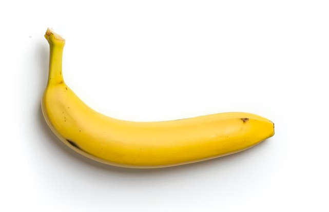 스크린샷 2023-03-24 오후 11.58.12