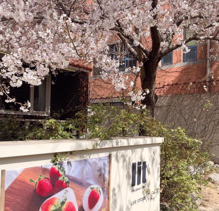 대구 엘아이티