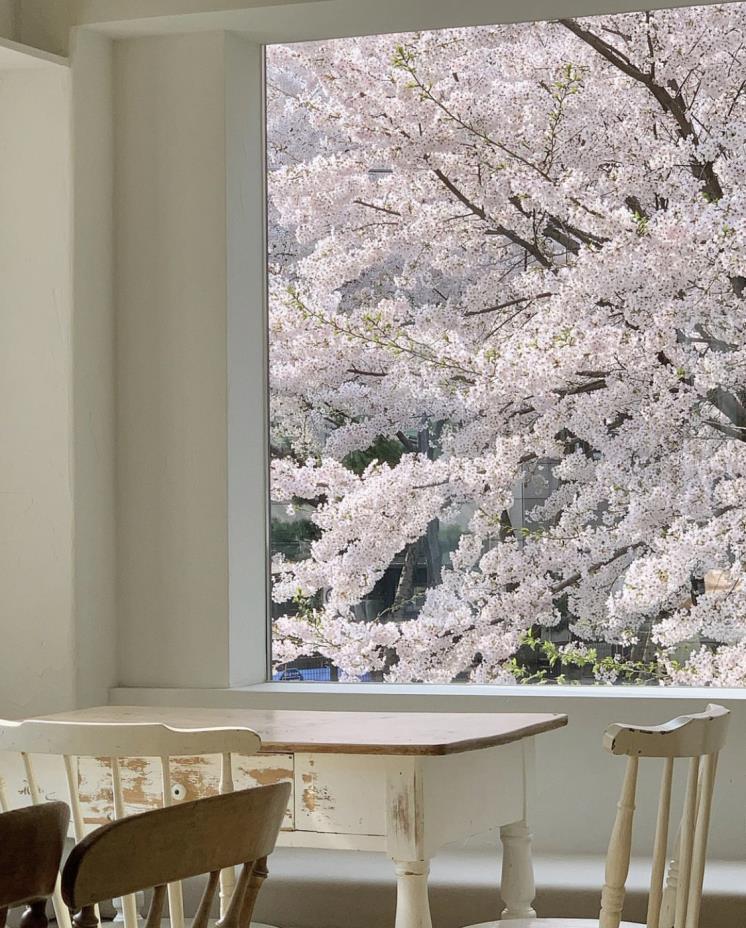 디어 모먼트