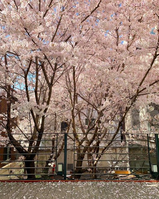 스크린샷 2023-03-30 오전 12.27.02