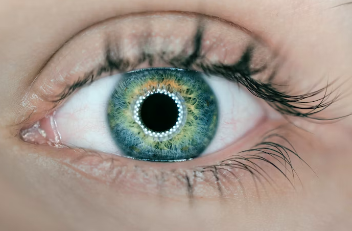 스크린샷 2023-04-24 오후 11.14.42