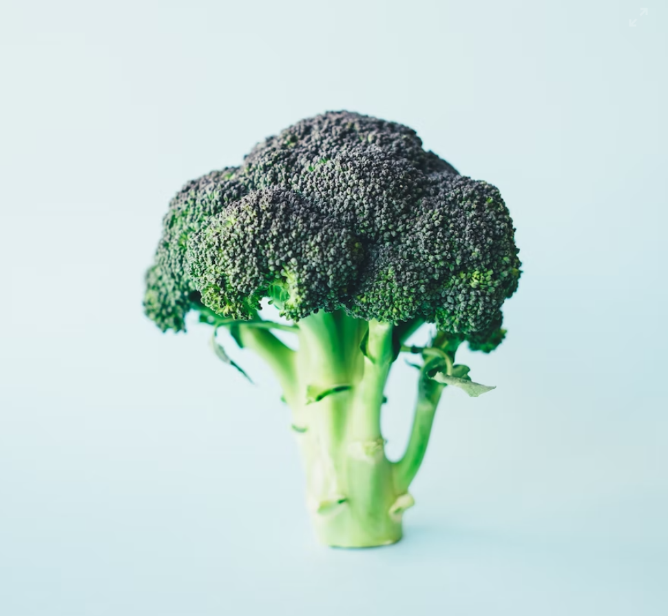 브로콜리