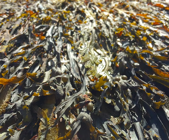 스크린샷 2023-04-09 오전 2.09.21