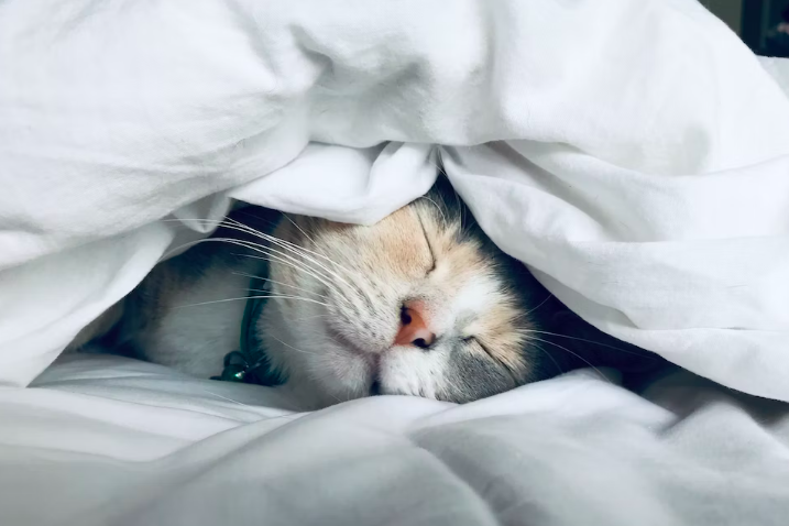 스크린샷 2023-04-16 오후 8.00.05